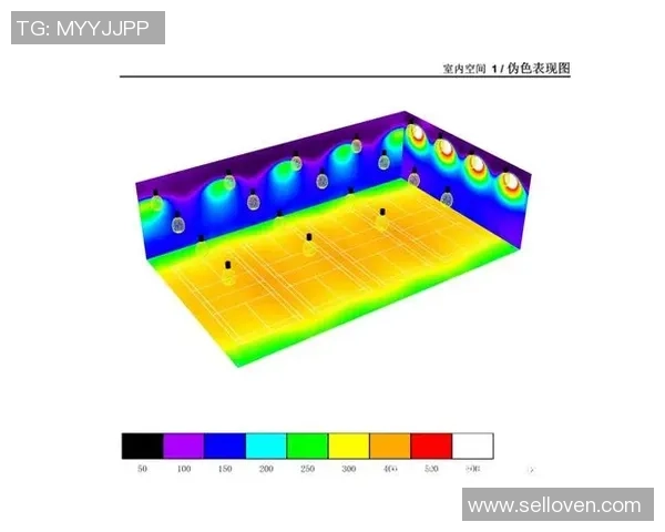 广州羽毛球队意识表现数据分析与提升策略探讨 广州羽毛球队意识表现数据分析与提升策略探讨