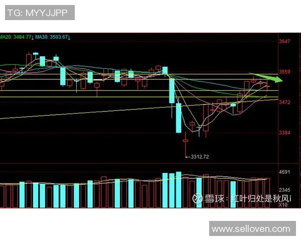 杭州羽毛球队与武汉羽毛球队赛后复盘分析比赛节奏与战术对比