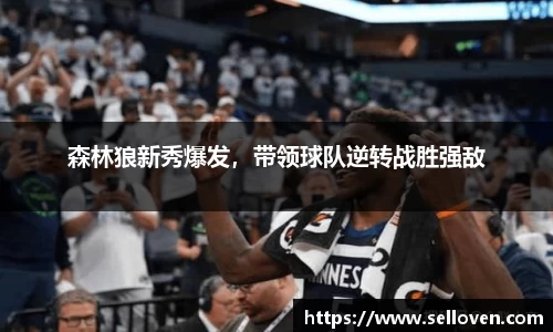 OB电竞官方网站