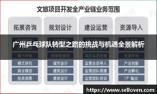广州乒乓球队转型之路的挑战与机遇全景解析